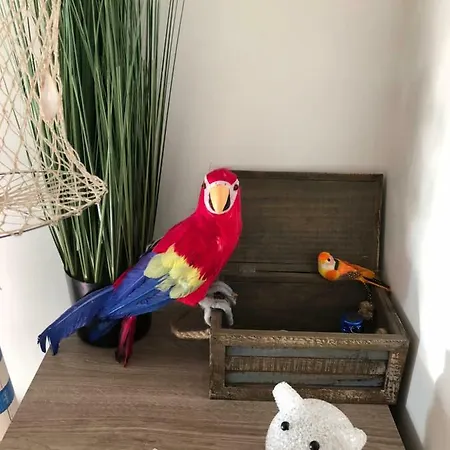 Le Petit Bateau דירה *